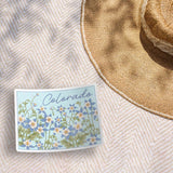 Cute Colorado Bumper Sticker Outdoors on Beach Blanket