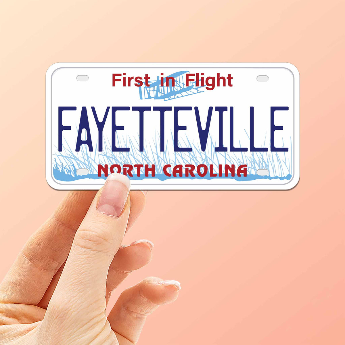 North Carolina License Plate Stickers - Choose Your NC City – Sentinel  Supply