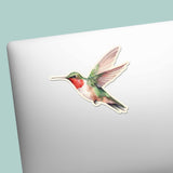 Hummingbird Sticker - Mini Birdwatching Decal