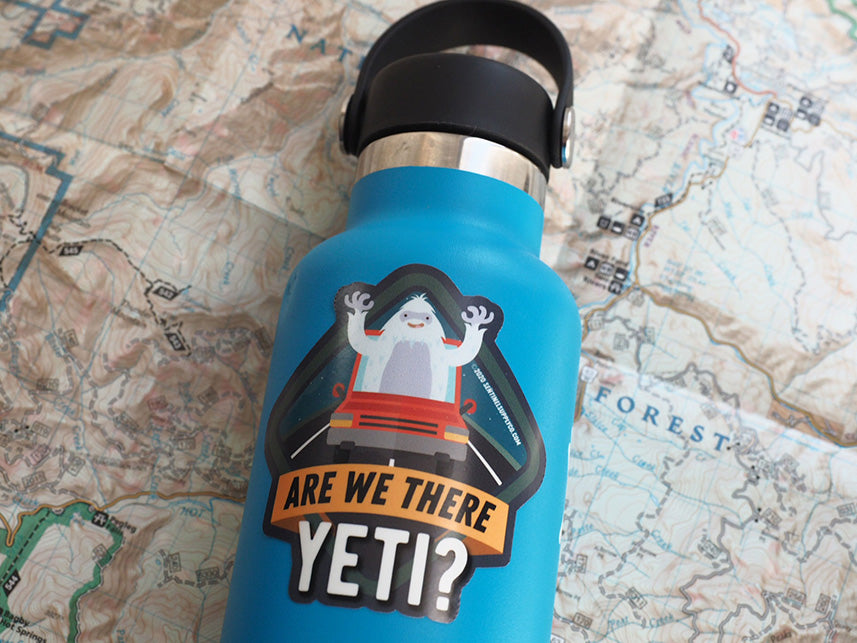Mount Everest Vacuum Thermos Bottle,expedition Everest Insulated Water  Bottle, Mountain Climbing Camping Tumbler,mountain Tumbler 