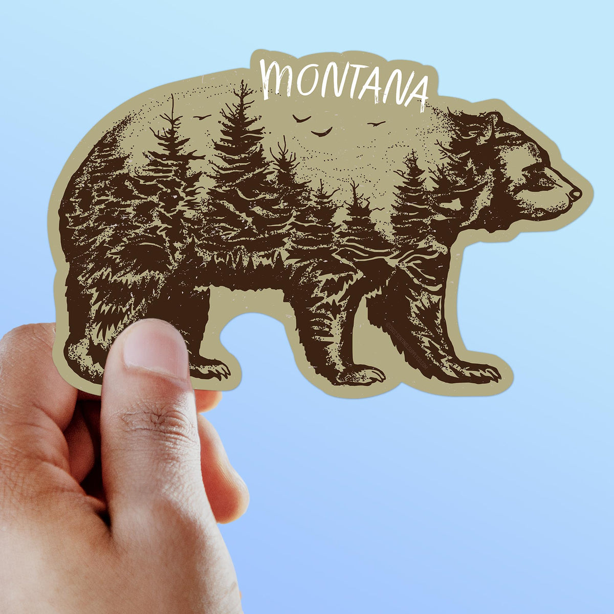 Brown Trout on Montana Sticker Decal