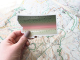 Montana Rainbow Trout Sticker - Large 4.75" Size