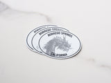 Borrego Springs Dragon White Oval Bumper Sticker