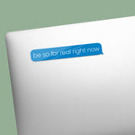Be So For Real Right Now Funny Text Decal, Mini
