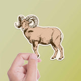 Bighorn Sheep Sticker - Cool Nature Decal