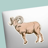 Bighorn Sheep Sticker - Cool Nature Decal