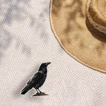 Cute Spooky Crow Birdwatching Bumper Sticker Outdoors on Beach Blanket