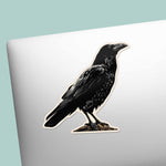 Cute Spooky Crow Birdwatching Sticker on Laptop
