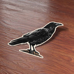 Cute Spooky Crow Birdwatching Bumper Sticker on Wood