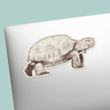 Cute Turtle Sticker on Laptop