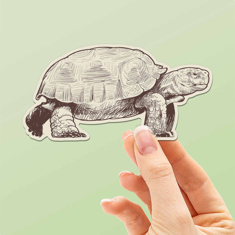Desert Tortoise Sticker