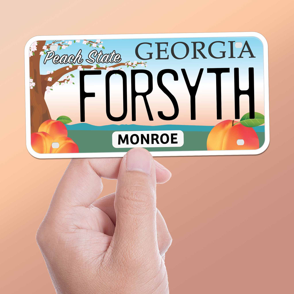 Georgia Registration Sticker Georgia License Plate Stickers for Hydroflask Water Bottle & Laptop ...