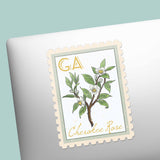 Georgia State Flower Cherokee Rose Sticker - GA Vintage Stamp Decal