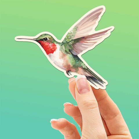 Hummingbird Sticker - Mini Birdwatching Decal