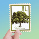 Illinois State Tree White Oak Sticker - IL Vintage Stamp Decal