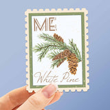 Maine State Flower White Pine Sticker - Vintage Stamp Decal