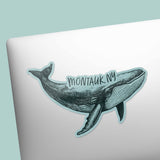 Montauk New York Humpback Whale Sticker