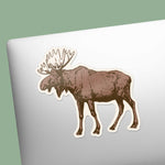 Bull Moose Bumper Sticker