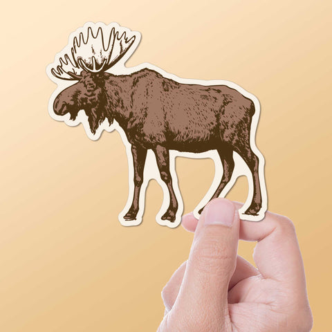 Bull Moose Bumper Sticker