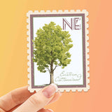 Nebraska State Tree Eastern Cottonwood Sticker - NE Vintage Stamp Decal