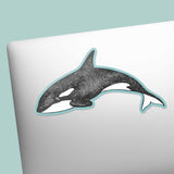 Orca Sticker - Cool Ocean Decal