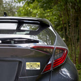 Princeton New Jersey Car Magnet - Flexible NJ Fridge Magnet
