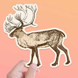 Reindeer Sticker - Cool Alaska Nature Decal