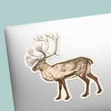 Reindeer Sticker - Cool Alaska Nature Decal