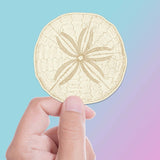 Sand Dollar Sticker - Cool Ocean Decal