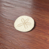Sand Dollar Sticker - Cool Ocean Decal