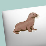 Cute Sea Otter Decal on Laptop