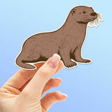 Cute Sea Otter Sticker