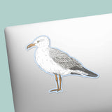 Sea Gull Beach Birdwatching Sticker - Shore Bird Decal