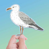 Sea Gull Beach Birdwatching Sticker - Shore Bird Decal