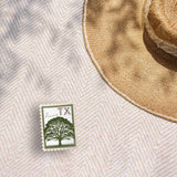 Texas State Tree Pecan Sticker - TX Vintage Stamp Decal