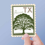 Texas State Tree Pecan Sticker - TX Vintage Stamp Decal