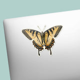 Tiger Swallowtail Butterfly Sticker on Laptop