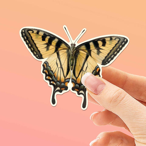 Tiger Swallowtail Butterfly Sticker for Hydroflask Water Bottle