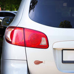 Turkey Leg Blacksburg Virginia Car Magnet 