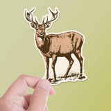 White Tail Deer Sticker - Cool Nature Decal
