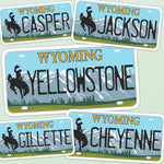 Wyoming License Plate Stickers