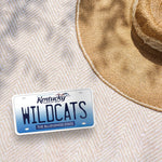 Wildcats UK Bumper Sticker Outdoors on Beach Blanket