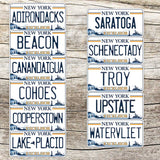 New York License Plate Sticker Options