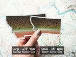 Montana Cutthroat Trout Sticker Size Comparison