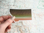 Montana Cutthroat Trout Sticker - Small 3.5" Size