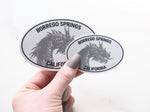 Borrego Springs Dragon White Oval Bumper Sticker